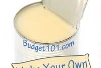 How to Make Evaporated Milk at Home