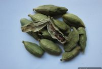 Cardamom: Tasting Jerusalem March 2014