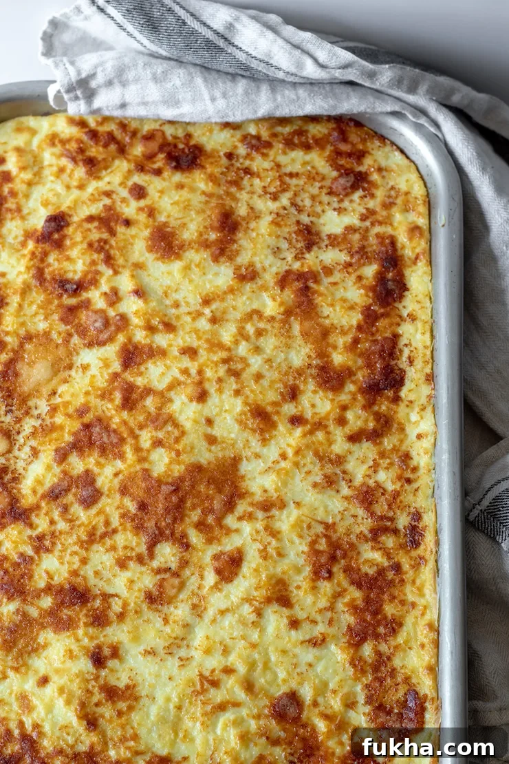 Pastitsio Recipe: Classic Greek Baked Pasta with Bechamel 3 Overhead photo of pastitsio baked in a pan.