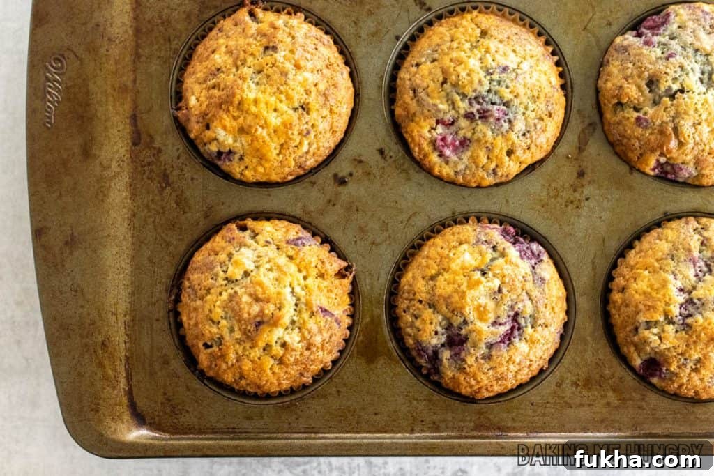 baked muffins in pan