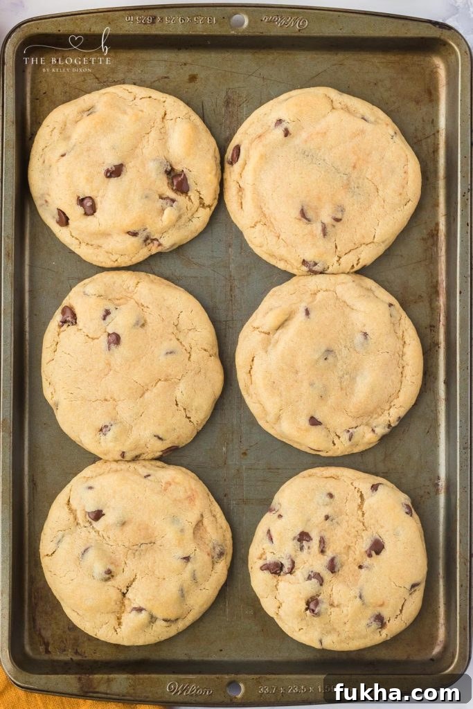 How to Make Nutella Stuffed Chocolate Chip Cookies 6 Cookies with Nutella inside