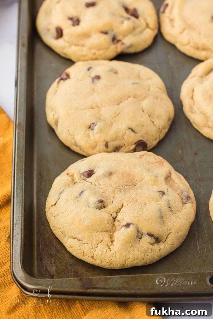 How to Make Nutella Stuffed Chocolate Chip Cookies 7 Bakery Style Nutella Cookies!