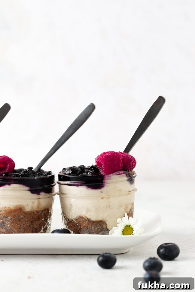 vegan blueberry cheesecake 2 scaled vegan blueberry cheesecake 2 scaled