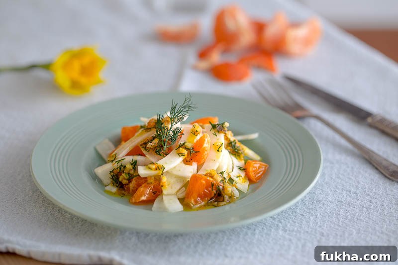 Clementine Fennel Salad with Zesty Dill Vinaigrette 4 Clementine and fennel salad with a citrussy dill dressing