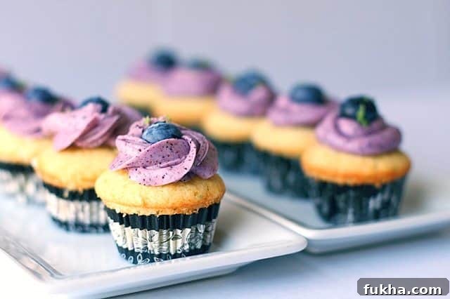 two trays of lime blueberry cupcakes in a straight row