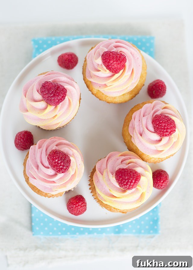 raspberry cupcakes in shape of a circle sitting on plate on a table 