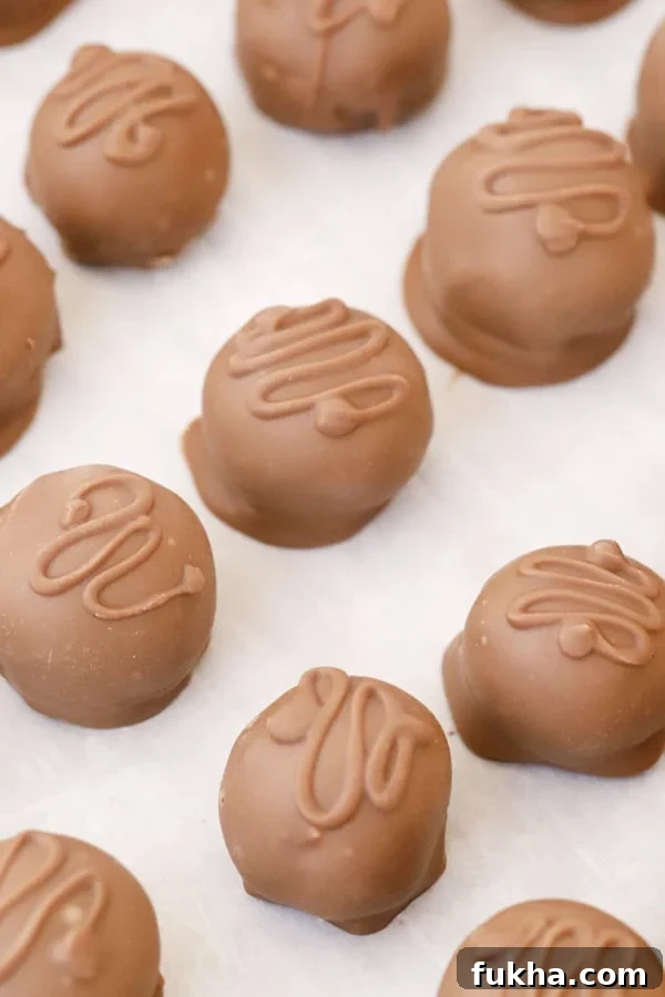 Chocolate-Covered Coconut Balls Recipe: Bite-Sized Truffles 2 Chocolate covered coconut balls candy on a baking sheet lined with parchment paper.
