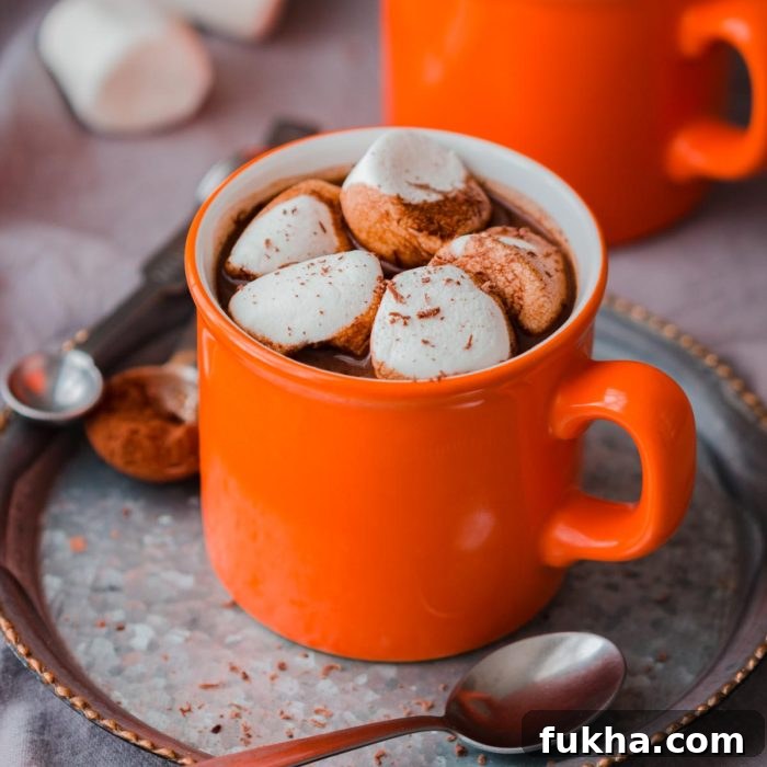Homemade Hot Chocolate Spiked with Rum