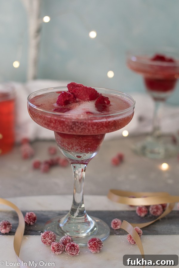 cranberry sorbet champagne float