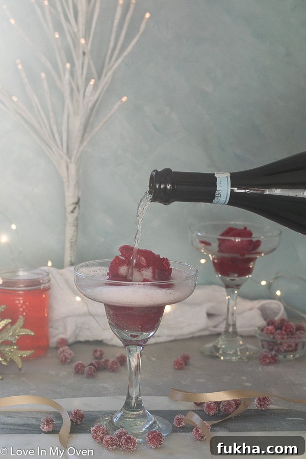 cranberry sorbet champagne float