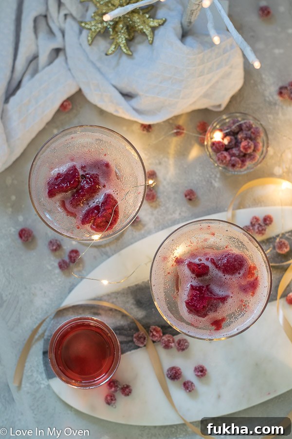 cranberry sorbet champagne float