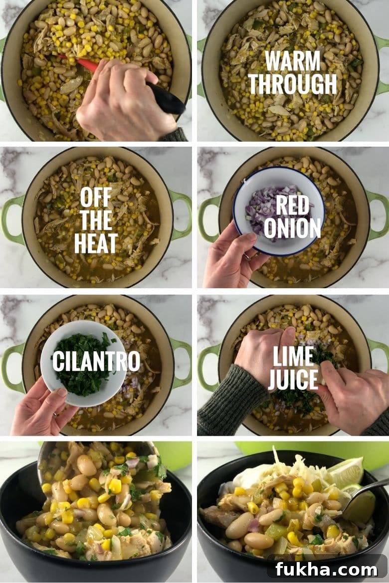 White Chicken Chili Recipe with White Beans 5 Chicken and White Bean Chili Ingredients and Process 3 _ Umami Girl