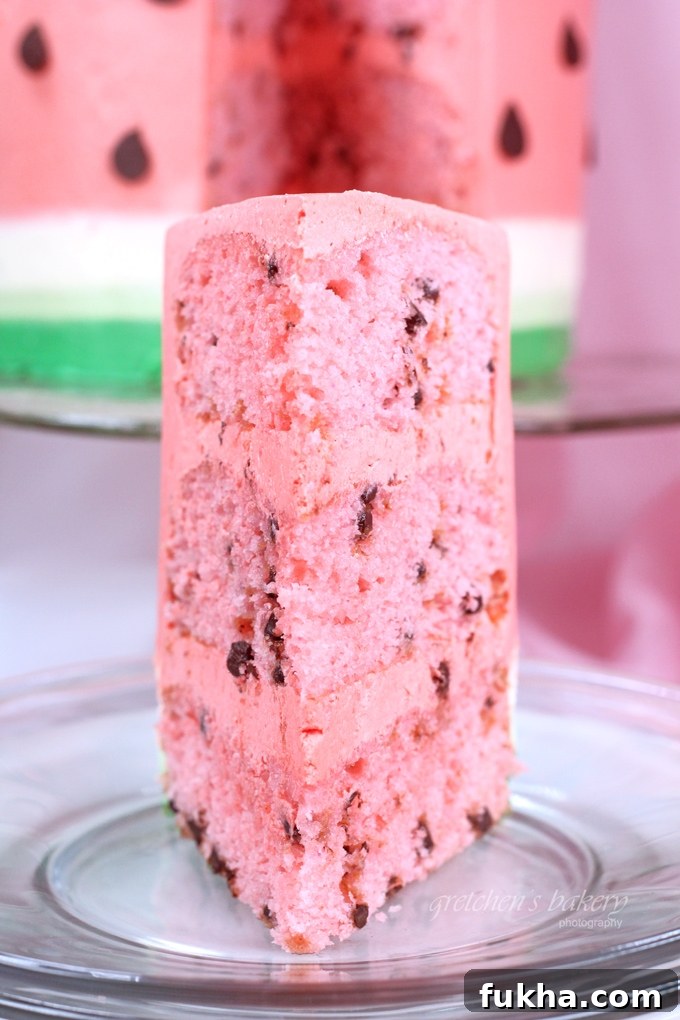 One-Bowl Cake Recipes for Quick and Delicious Homemade Cakes 11 Cherry Chip Cake