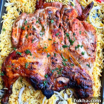 Crispy One-Pan Oven-Baked Spatchcock Chicken 5 Juicy Easy Oven Baked Spatchcock Chicken on a Large Tray With Rice- Overhead Shot