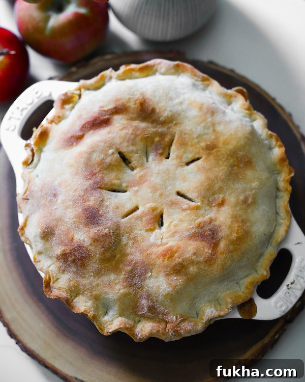 Whole Vegan apple pie overhead