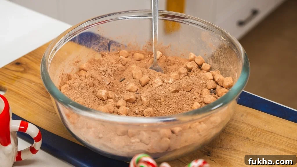 Homemade Hot Chocolate Mix Recipe for Holiday Gifts 6 img 15497 5