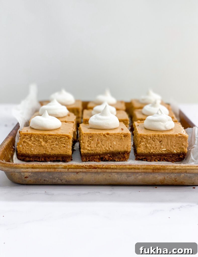 pumpkin cheesecake bars with gingersnap crust all in a row in a pan