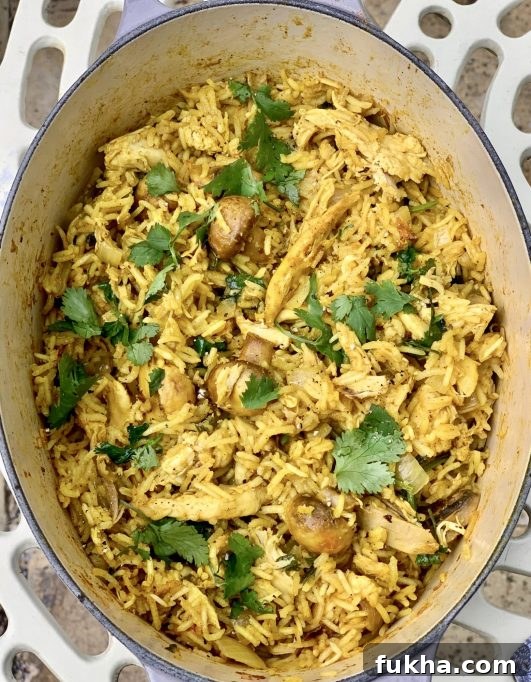 Chicken Biryani - Easy - finished dish