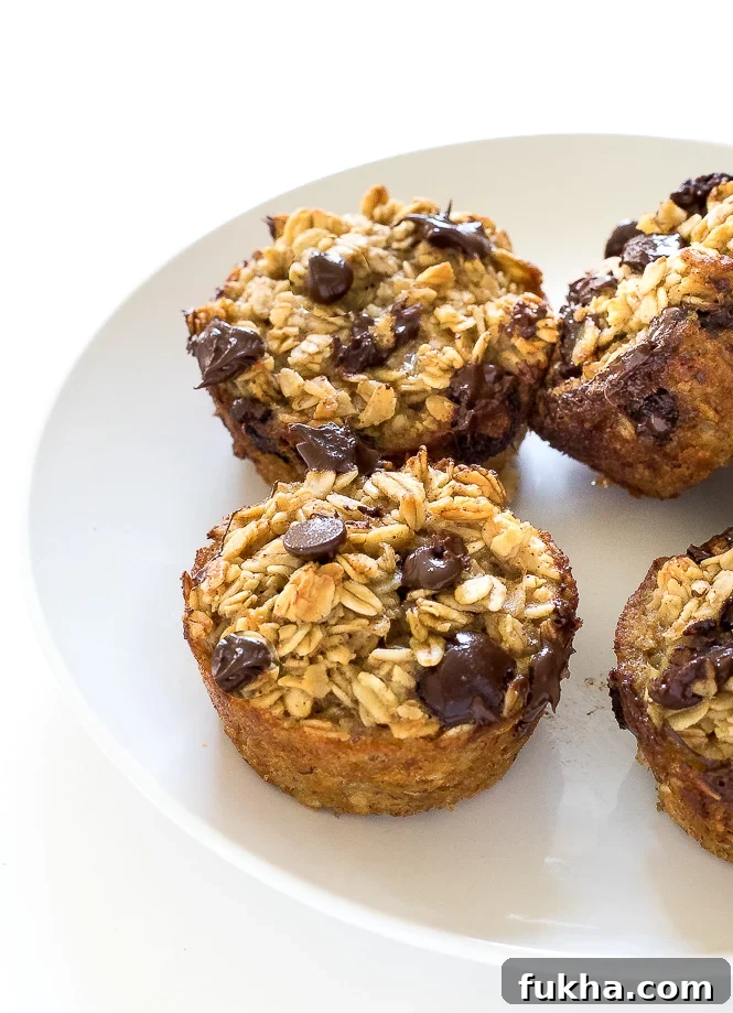 Healthy Banana Chocolate Chip Oatmeal Muffins | chefsavvy.com Banana Oatmeal Chocolate Chip Muffins lined up on a white plate.