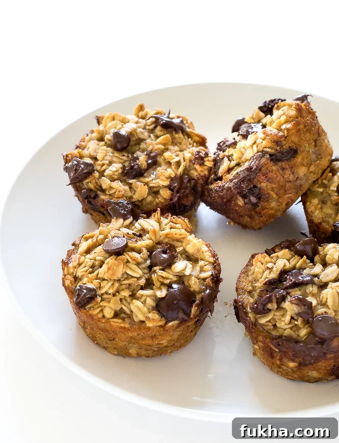 Chocolate Chip Oatmeal Muffins | chefsavvy.com Chocolate chip oatmeal muffins stacked on a white plate.