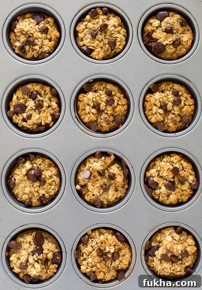 Healthy Oatmeal Muffins | chefsavvy.com Muffin tin filled with healthy oatmeal muffins after being baked.