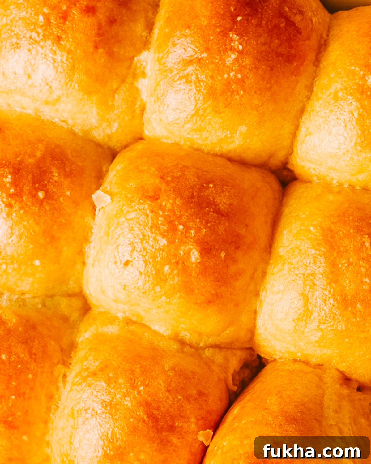 Pumpkin Dinner Rolls.
