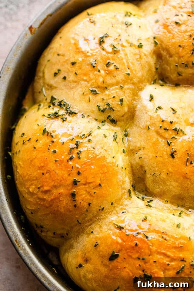 No-Knead Dinner Rolls: Soft, Fluffy Homemade Recipe 2 overhead close up shot of baked dinner rolls sprinkled with herbs and set in a pan