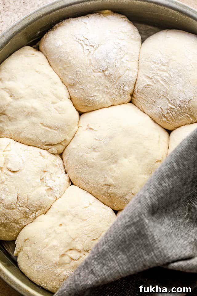 No-Knead Dinner Rolls: Soft, Fluffy Homemade Recipe 5 raw dinner rolls arranged in a cake pan and halfway covered with a grey kitchen towel