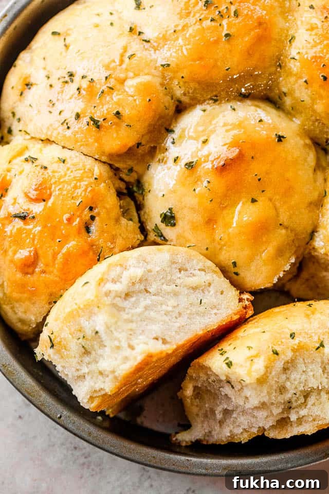 No-Knead Dinner Rolls: Soft, Fluffy Homemade Recipe 6 overhead shot of a pan with baked dinner rolls