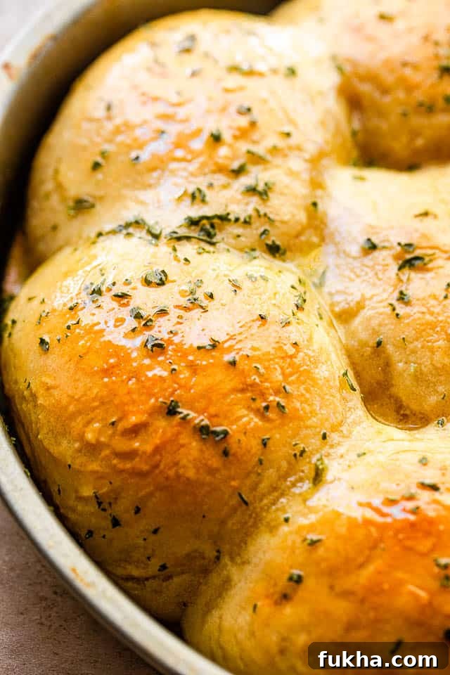 No-Knead Dinner Rolls: Soft, Fluffy Homemade Recipe 7 side view close up shot of baked dinner rolls sprinkled with herbs and set in a pan