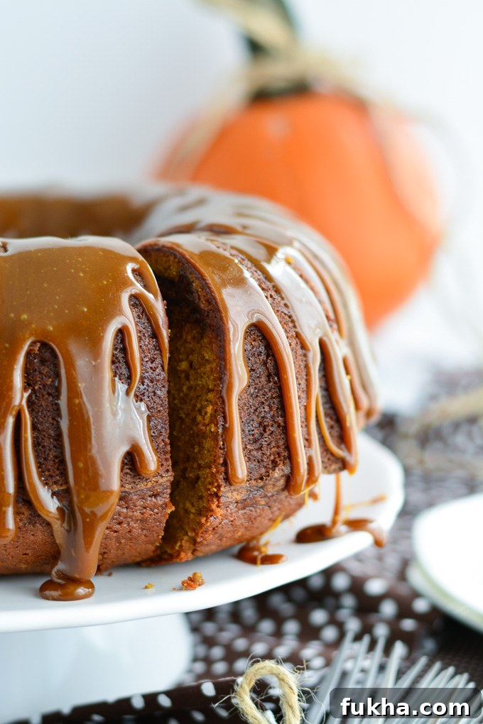 Chocolate Chunk Pumpkin Cake | Garnish and Glaze