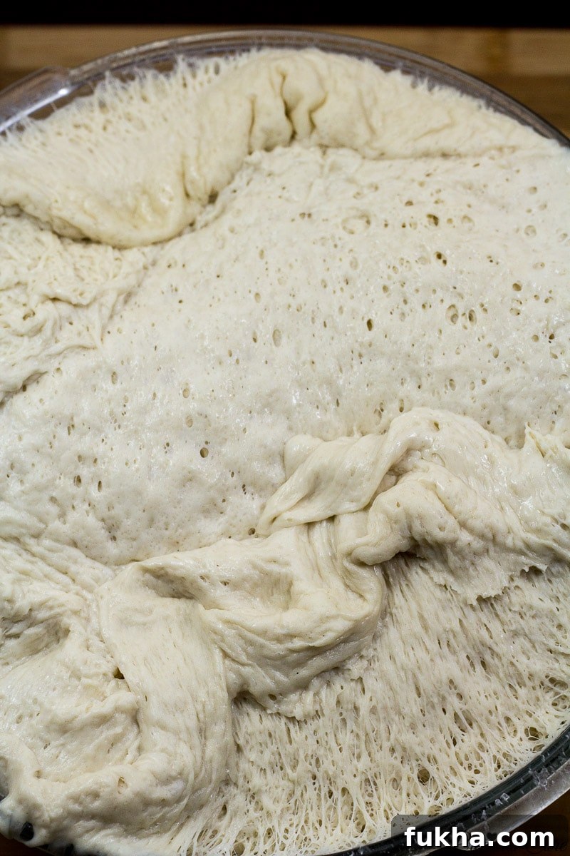 french bread dough