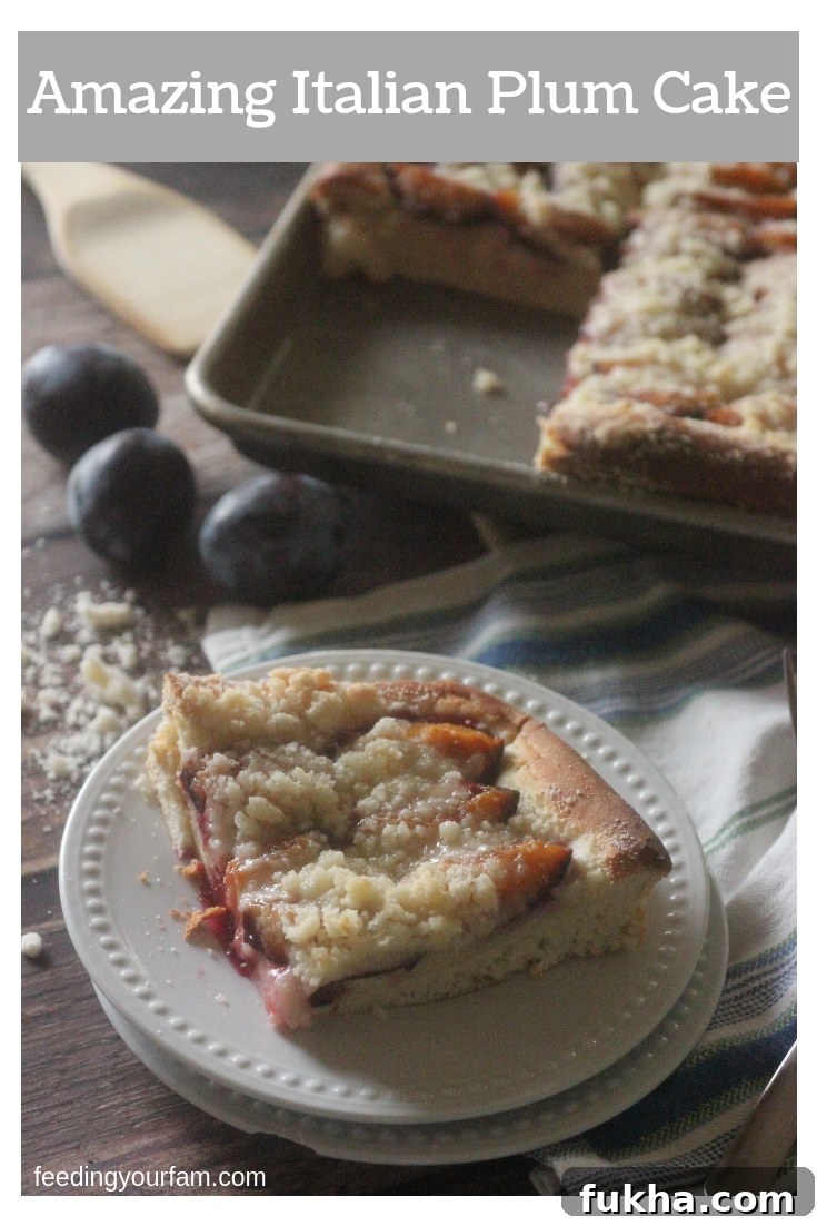 Italian Plum Cake
