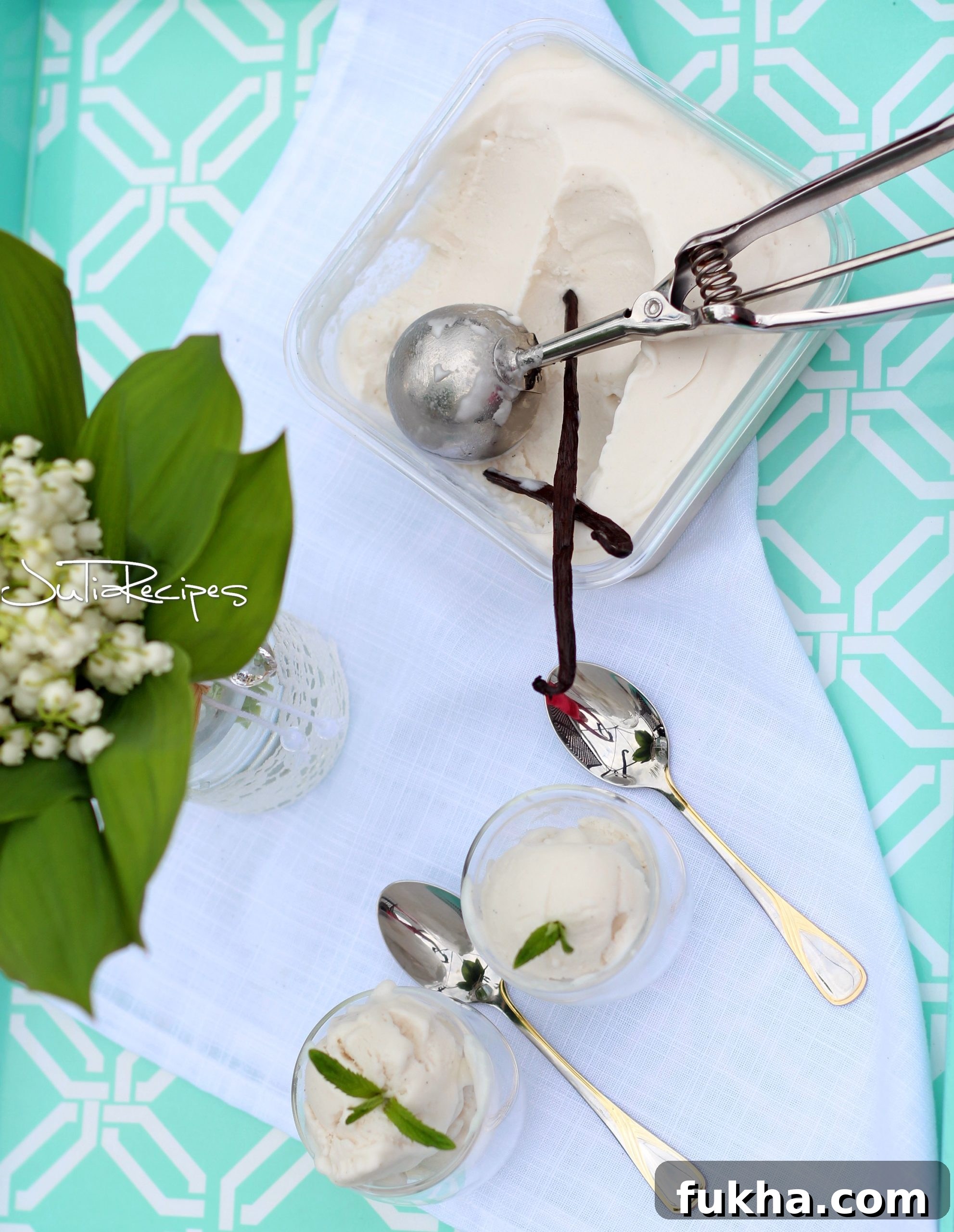 No-Churn Coconut Milk Ice Cream Recipe (Vegan) 6 img 3251 5