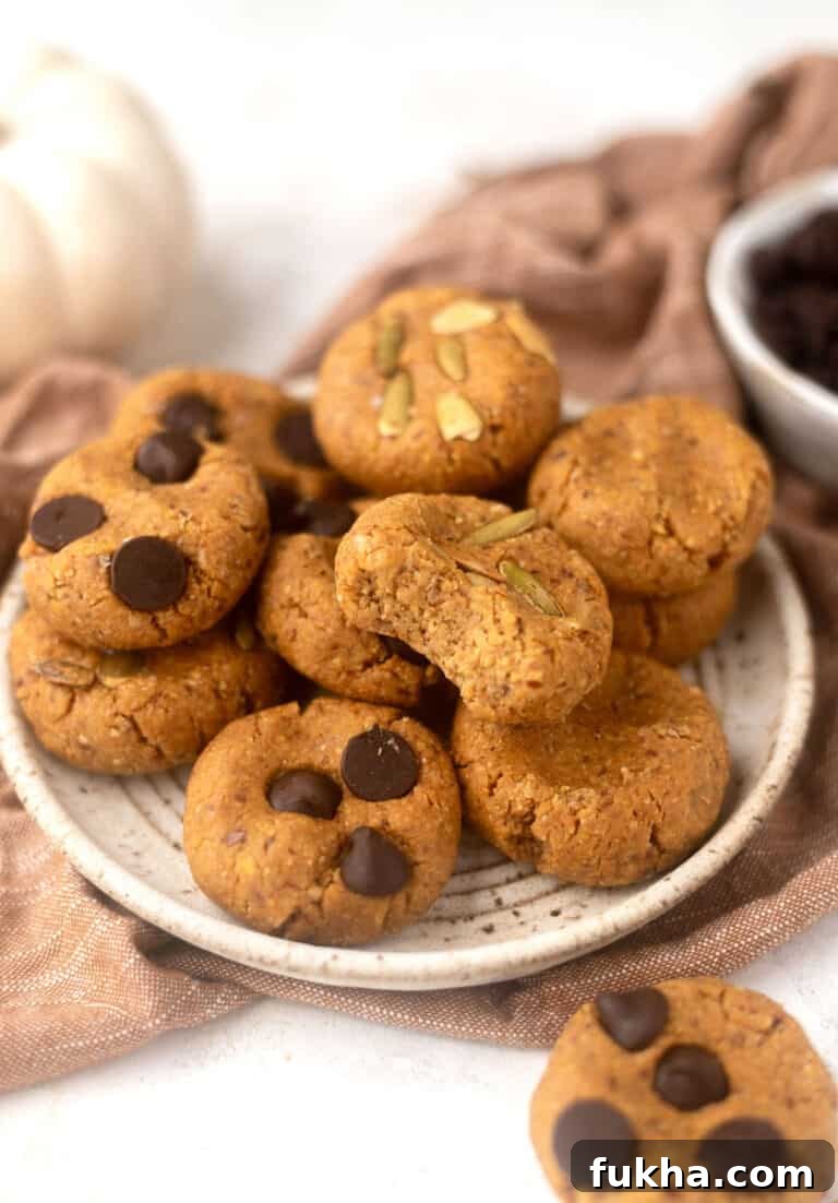 plate of cookies with chocolate chips