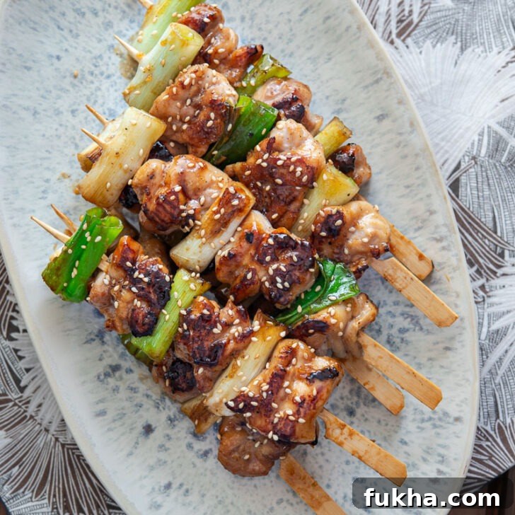 Dakkochi, Korean chicken skewers