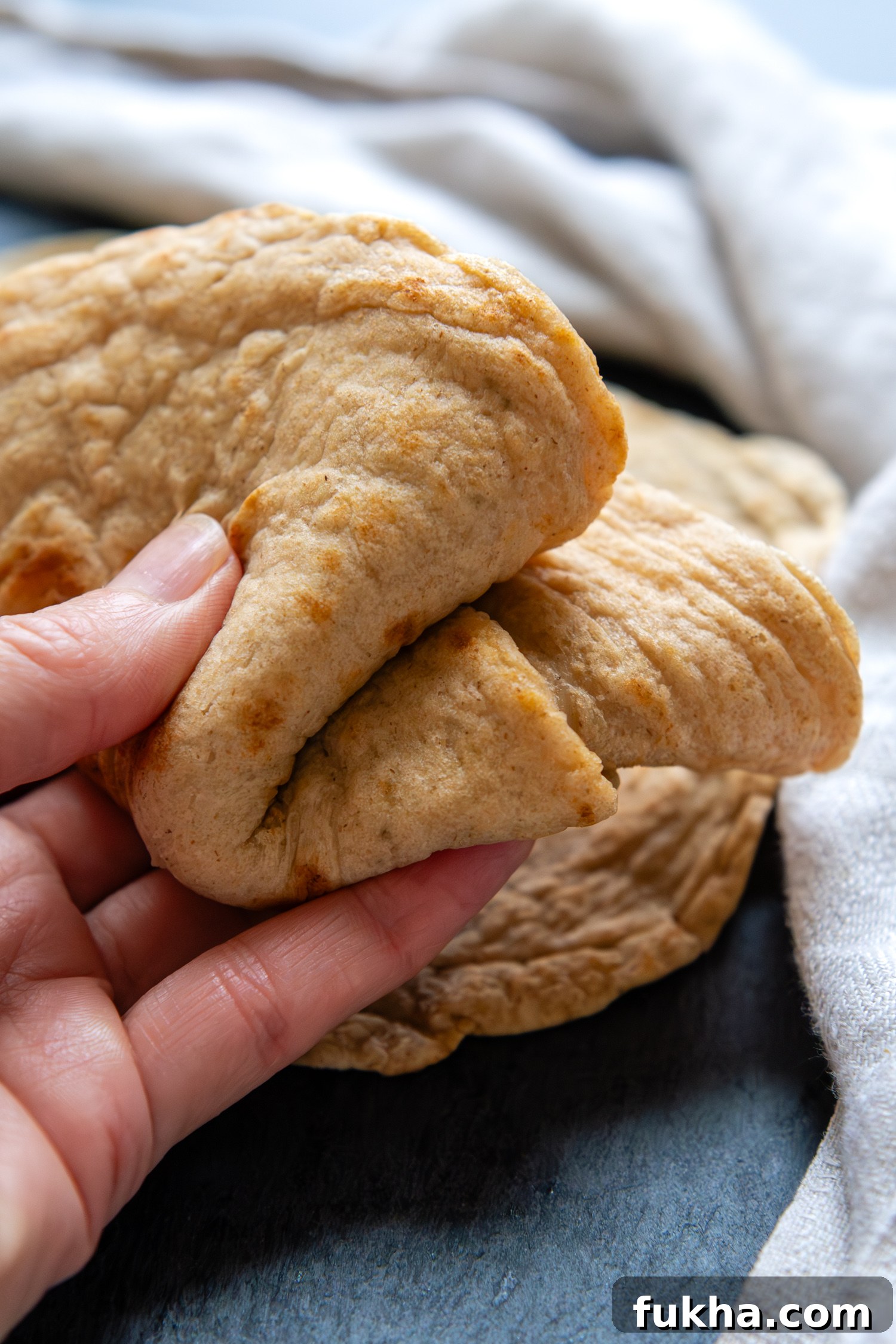 Hand holding a folded tortilla.