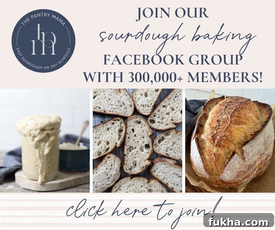Sourdough community and recipes