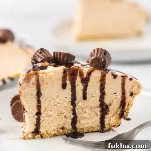 No Bake Peanut Butter Pie