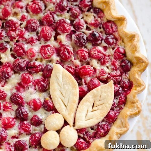 Cranberry Orange Custard Pie