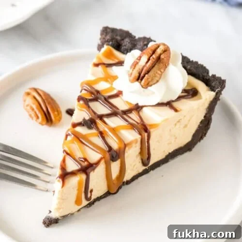 Turtle Pie