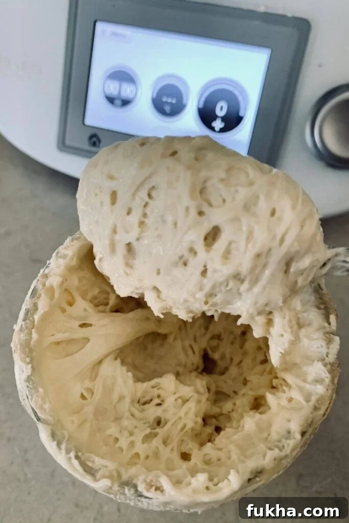 Bubbly active sourdough starter being stirred