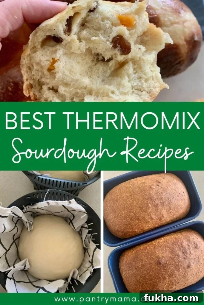 Best sourdough Thermomix recipes