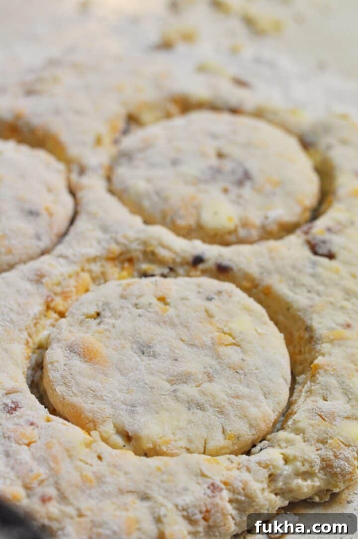 Cut out bacon ranch biscuits