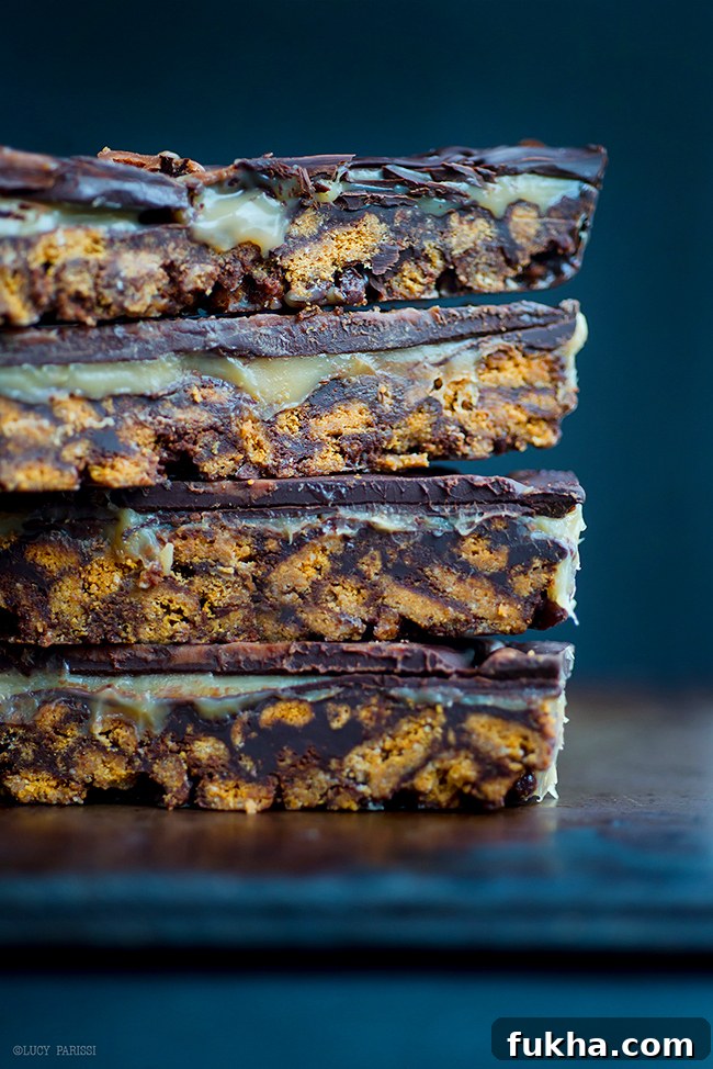 Chocolate Caramel Tiffin Bars | Supergolden Bakes