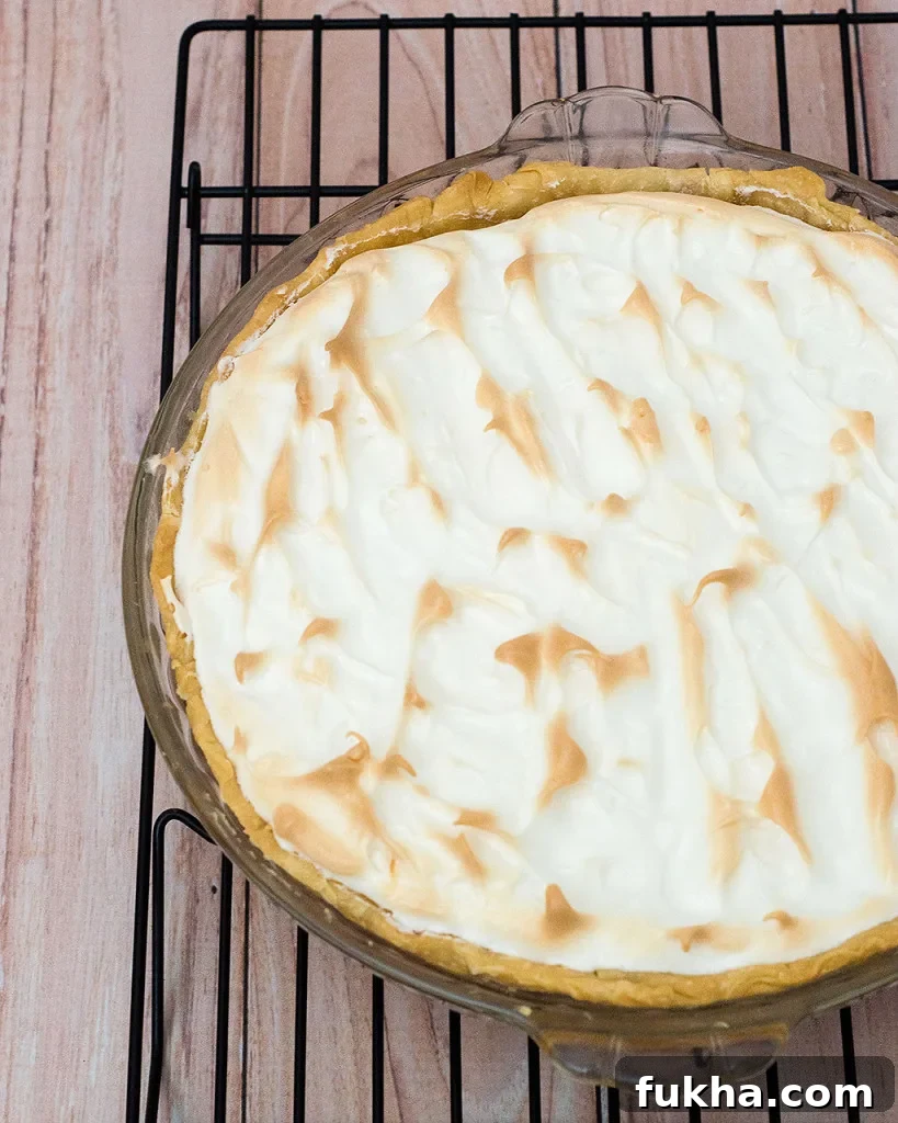 Cranberry Meringue Pie Recipe for a Tangy Holiday Dessert 3 Slice of cranberry meringue pie