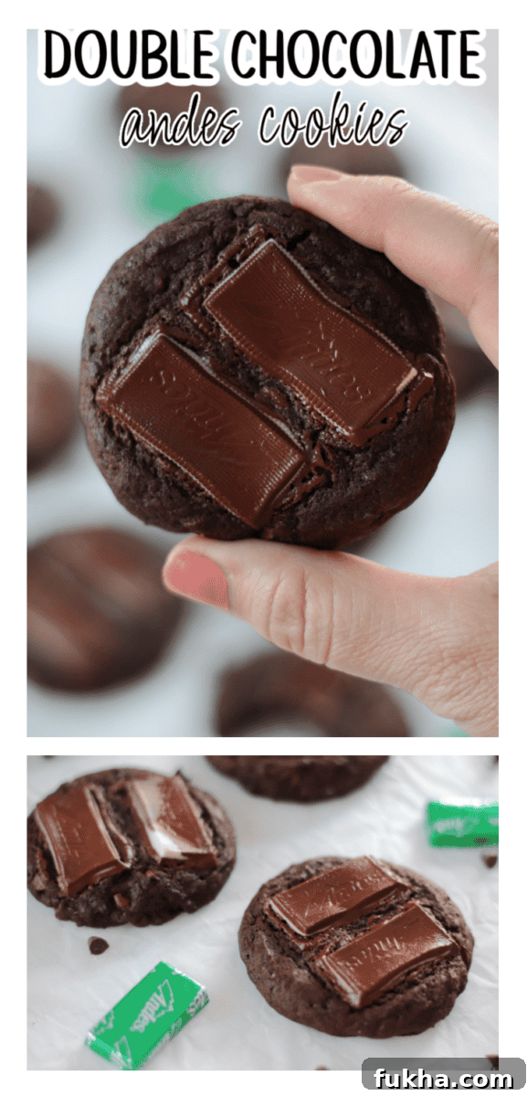 double chocolate andes mint cookies