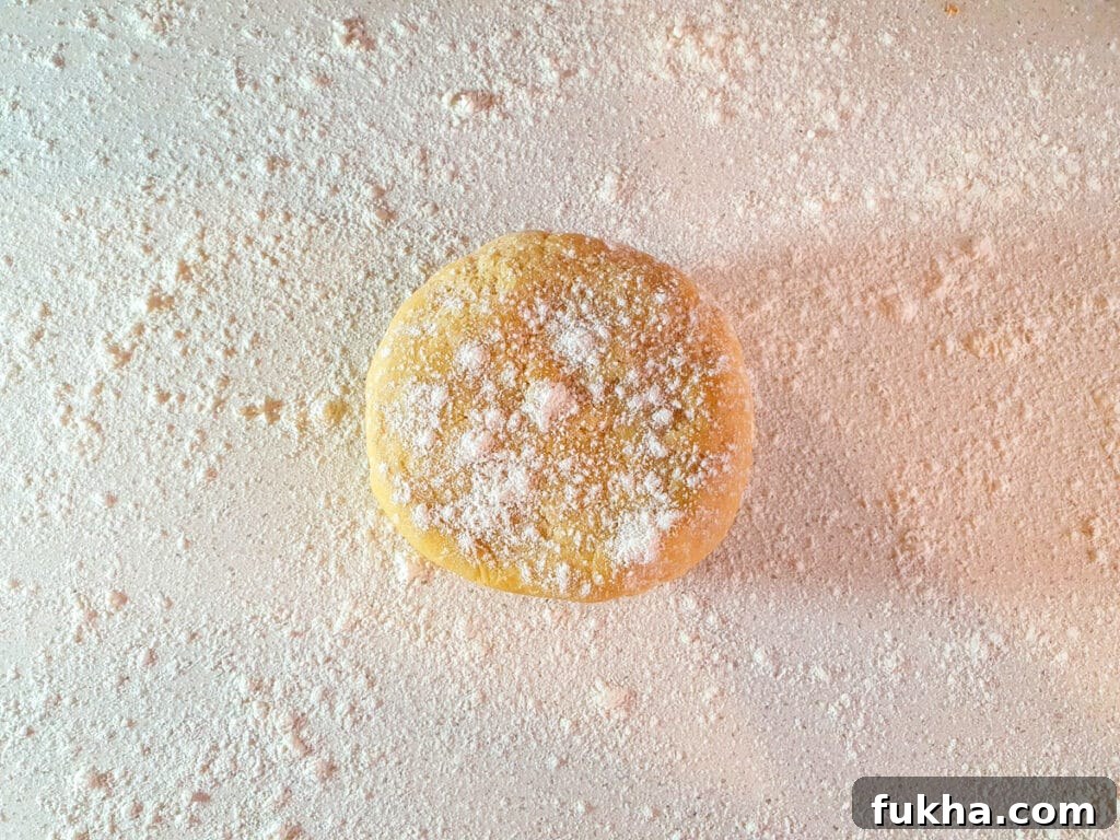 Pastry dough on floured work surface.