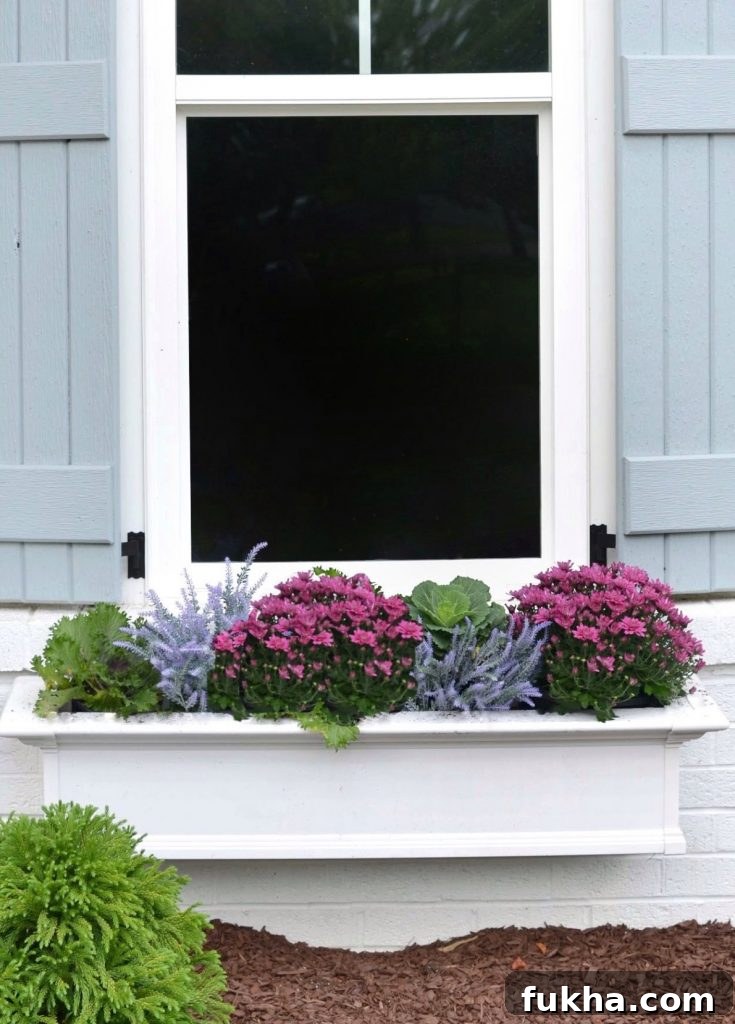 a fall window box with purples and blues