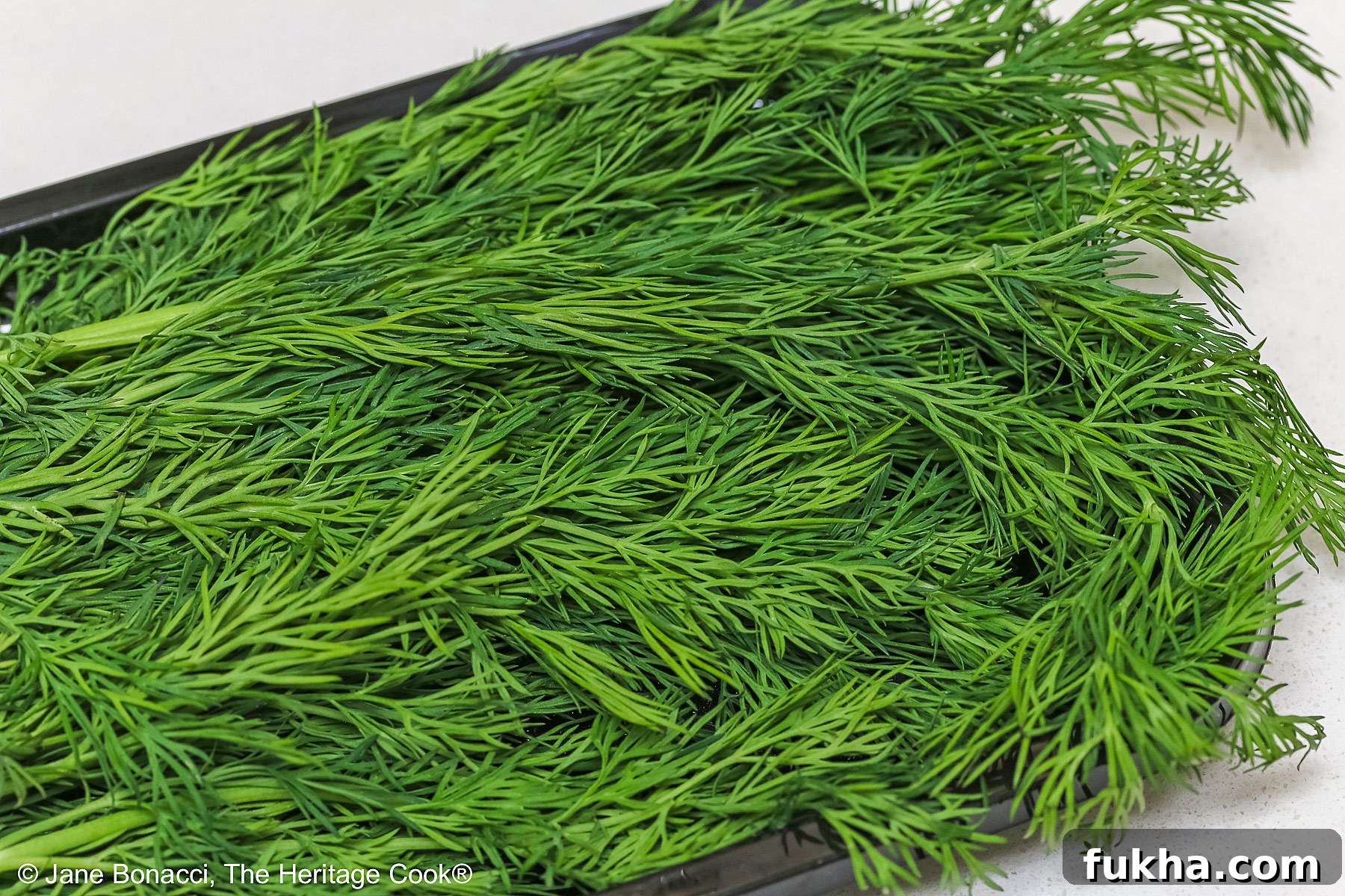 Bunch of fresh dill, perfect with seafood dishes!